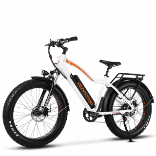 Electric Fat Bike for Adults